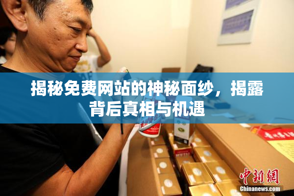 揭秘免费网站的神秘面纱，揭露背后真相与机遇