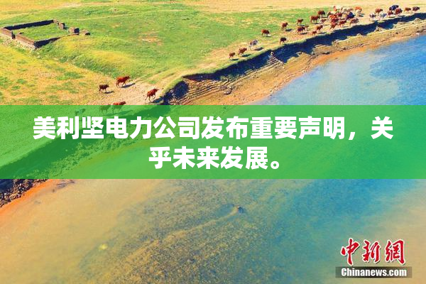 美利坚电力公司发布重要声明，关乎未来发展。