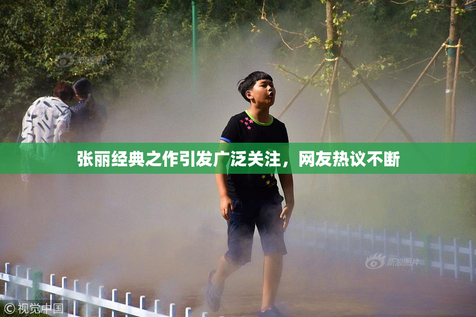 张丽经典之作引发广泛关注，网友热议不断