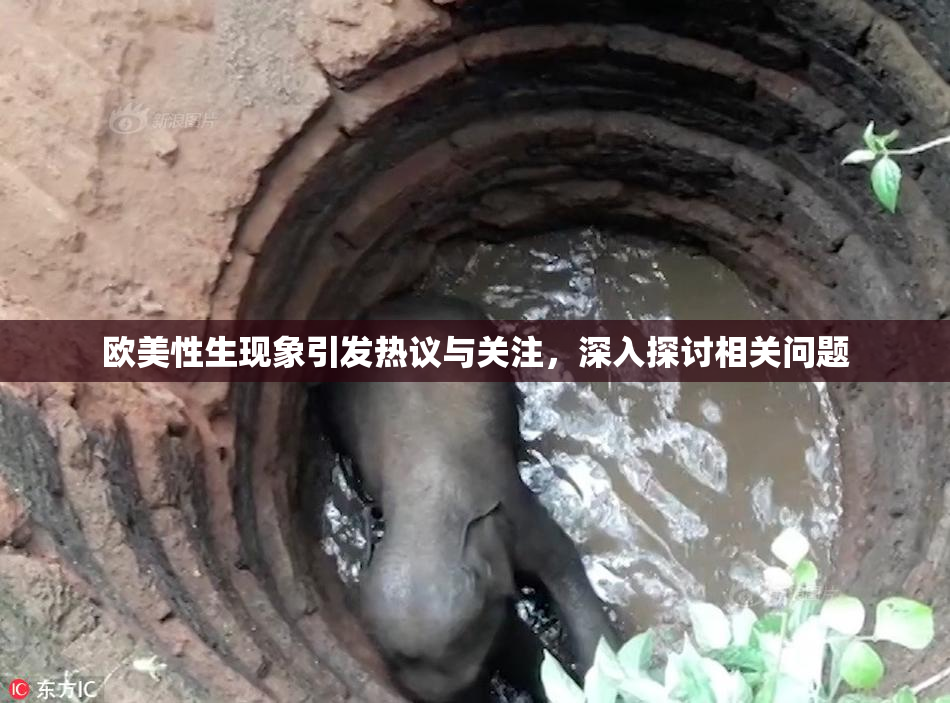 欧美性生现象引发热议与关注，深入探讨相关问题