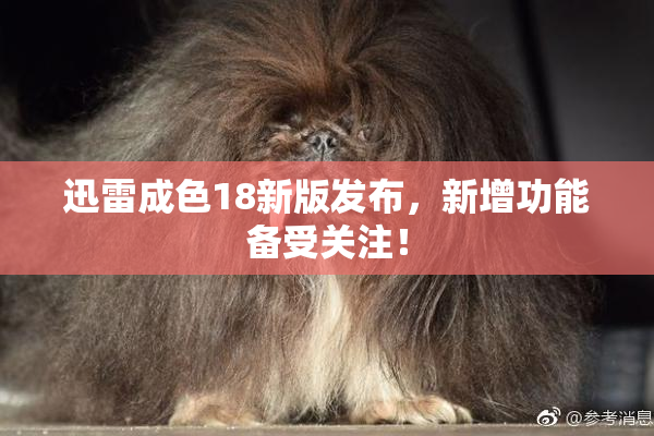 迅雷成色18新版发布，新增功能备受关注！