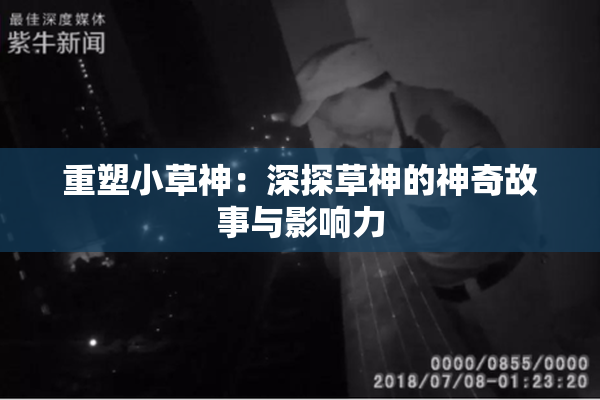 重塑小草神：深探草神的神奇故事与影响力
