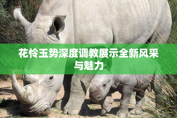 花怜玉势深度调教展示全新风采与魅力