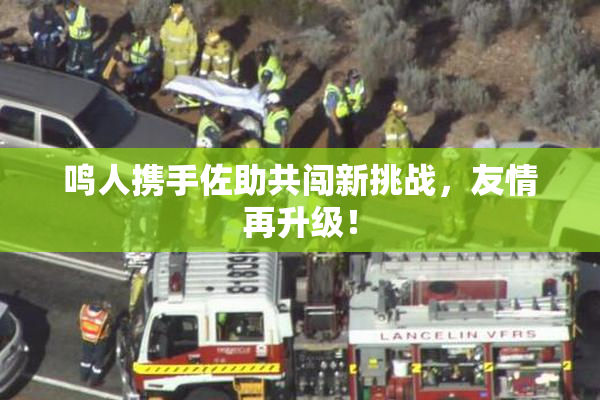 鸣人携手佐助共闯新挑战，友情再升级！