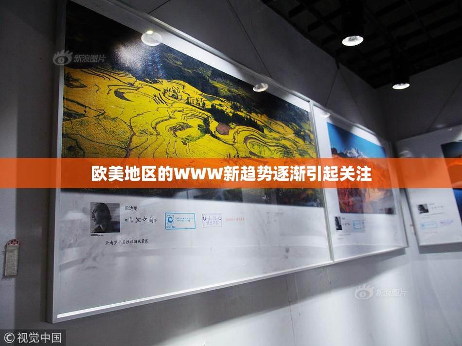 欧美地区的WWW新趋势逐渐引起关注