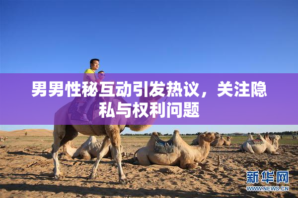 男男性秘互动引发热议，关注隐私与权利问题