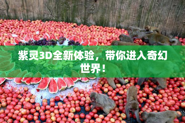 紫灵3D全新体验，带你进入奇幻世界！