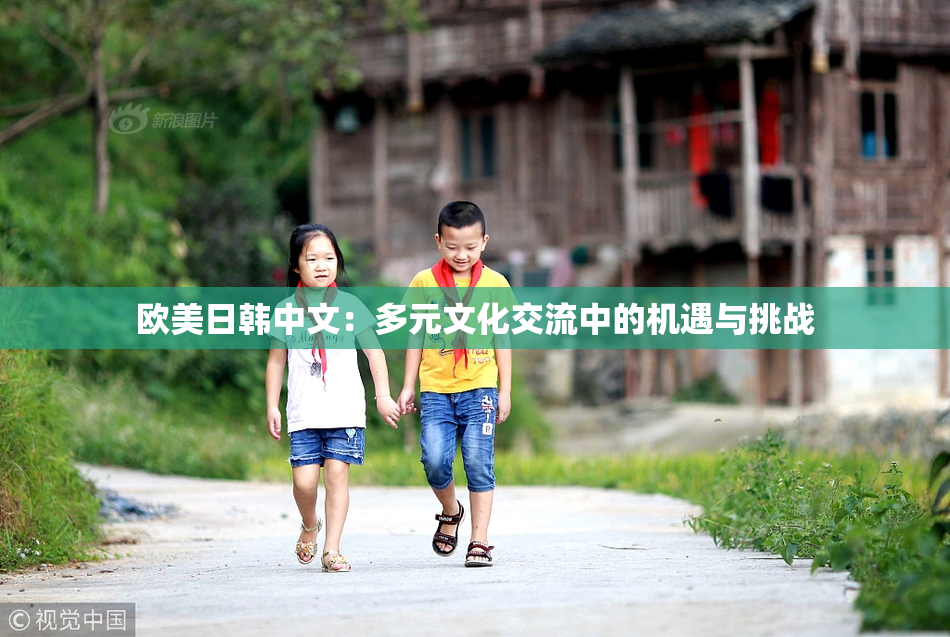 欧美日韩中文：多元文化交流中的机遇与挑战