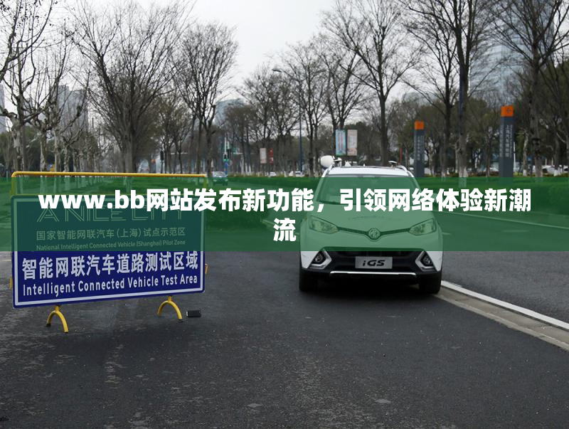 www.bb网站发布新功能，引领网络体验新潮流
