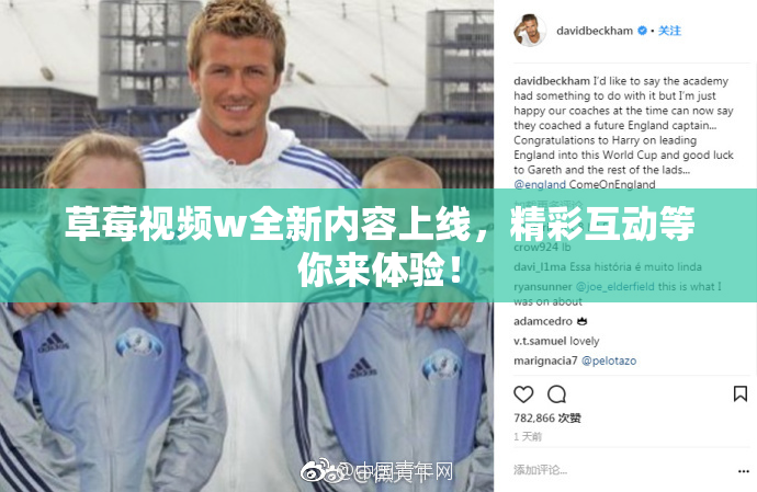 草莓视频w全新内容上线，精彩互动等你来体验！
