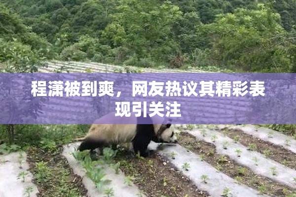 程潇被到爽，网友热议其精彩表现引关注