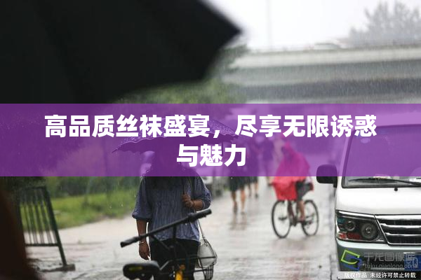 高品质丝袜盛宴，尽享无限诱惑与魅力