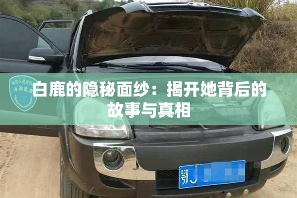 白鹿的隐秘面纱：揭开她背后的故事与真相