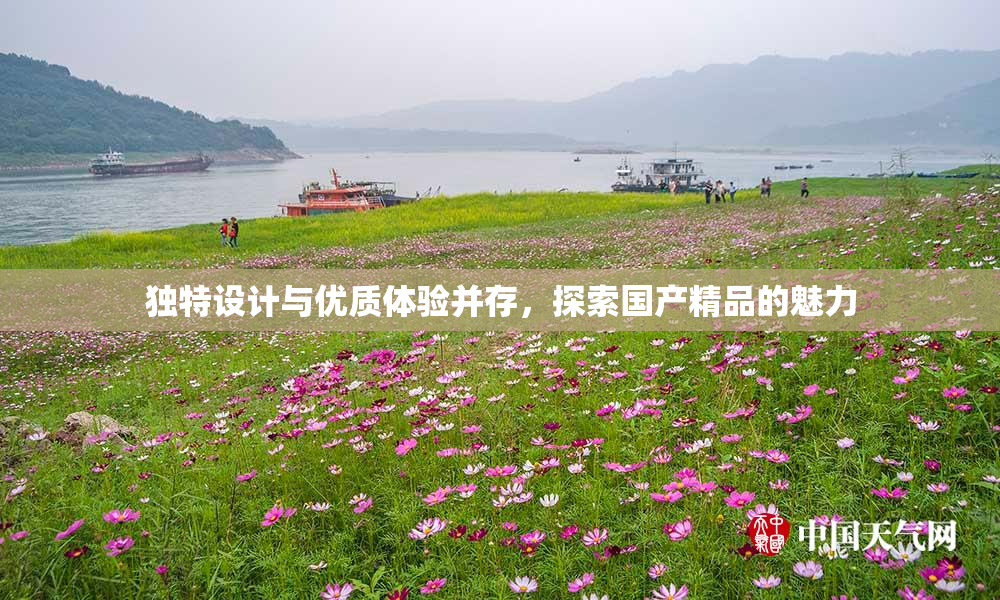 独特设计与优质体验并存，探索国产精品的魅力
