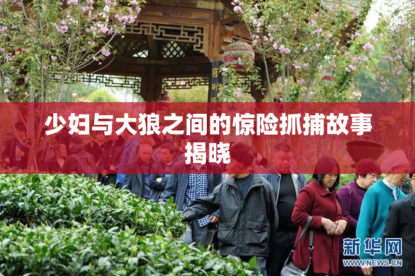 少妇与大狼之间的惊险抓捕故事揭晓