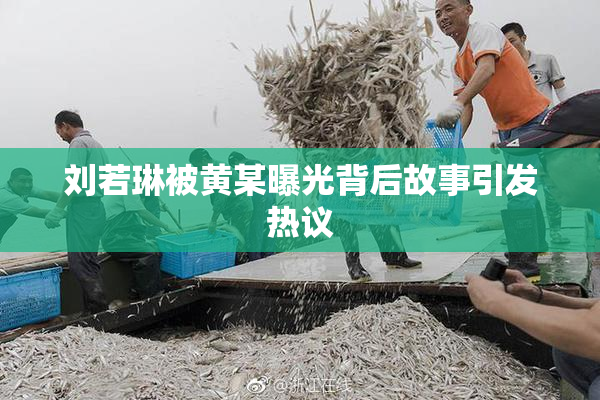 刘若琳被黄某曝光背后故事引发热议