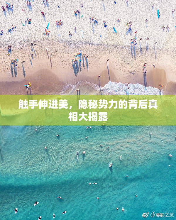 触手伸进美，隐秘势力的背后真相大揭露