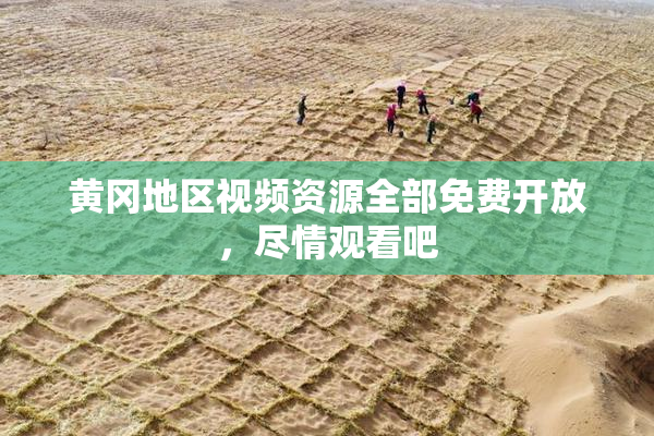 黄冈地区视频资源全部免费开放，尽情观看吧