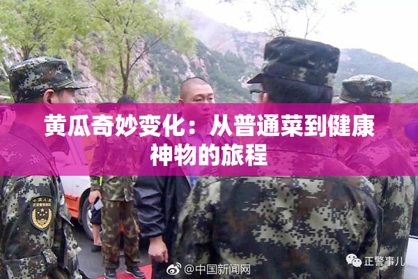 黄瓜奇妙变化：从普通菜到健康神物的旅程