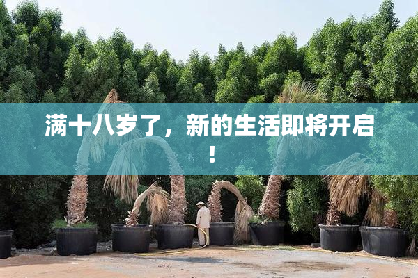 满十八岁了，新的生活即将开启！
