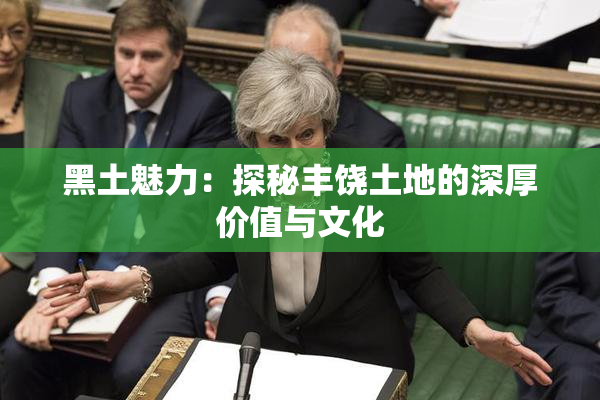 黑土魅力：探秘丰饶土地的深厚价值与文化
