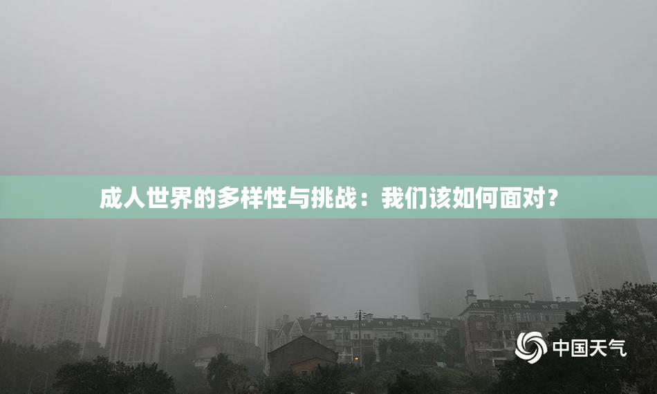 成人世界的多样性与挑战：我们该如何面对？
