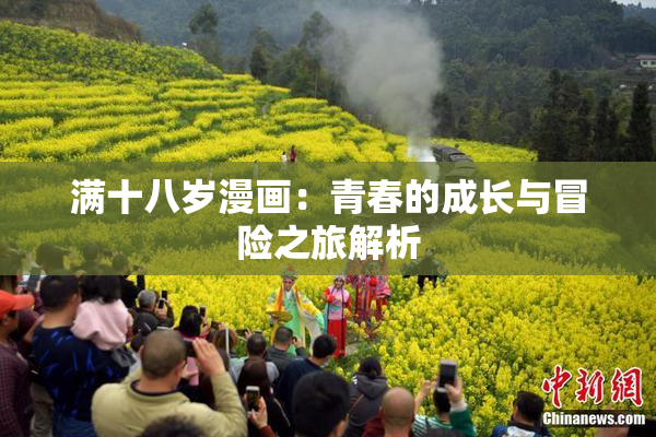 满十八岁漫画：青春的成长与冒险之旅解析