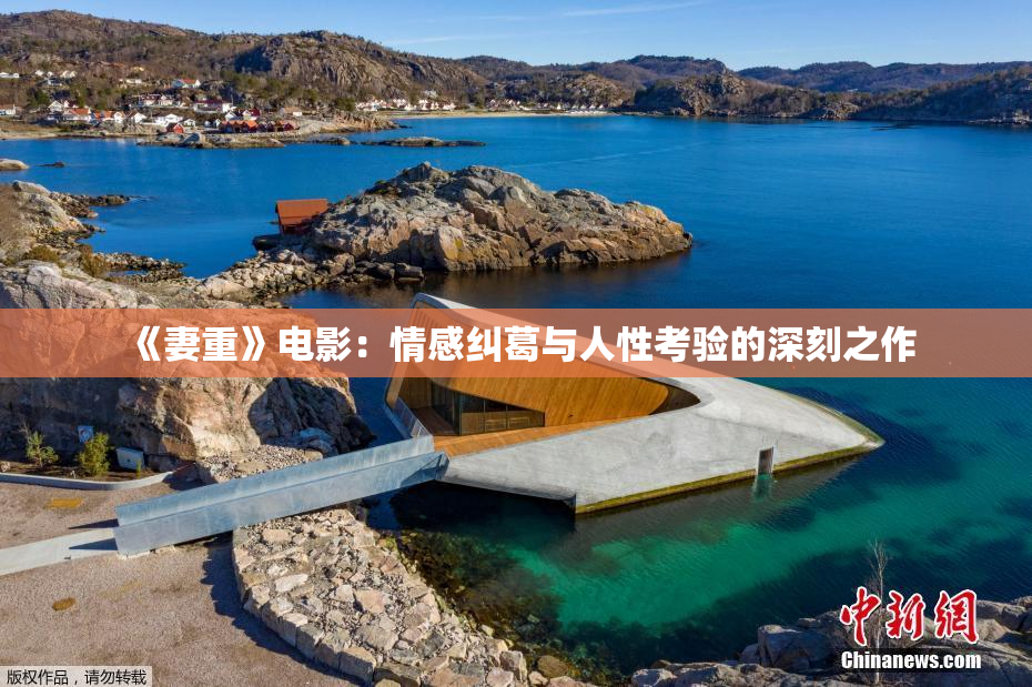 《妻重》电影：情感纠葛与人性考验的深刻之作