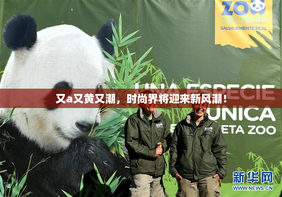 又a又黄又潮，时尚界将迎来新风潮！
