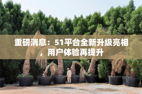 重磅消息：51平台全新升级亮相，用户体验再提升