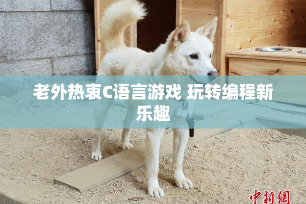 老外热衷C语言游戏 玩转编程新乐趣