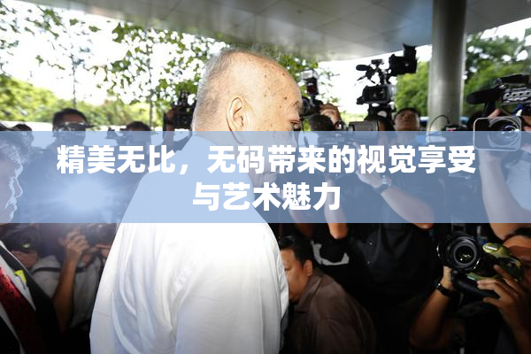 精美无比，无码带来的视觉享受与艺术魅力