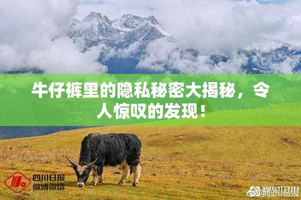 牛仔裤里的隐私秘密大揭秘，令人惊叹的发现！