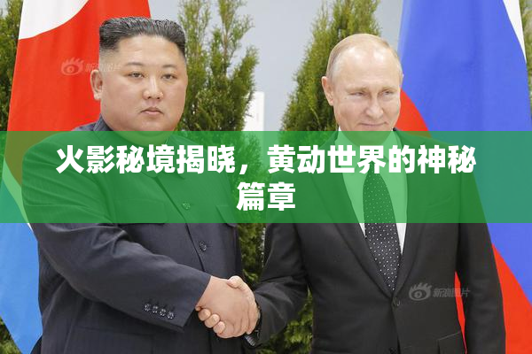 火影秘境揭晓，黄动世界的神秘篇章