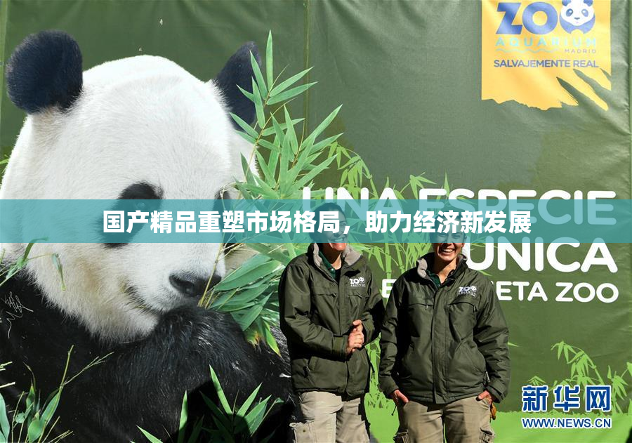 国产精品重塑市场格局，助力经济新发展