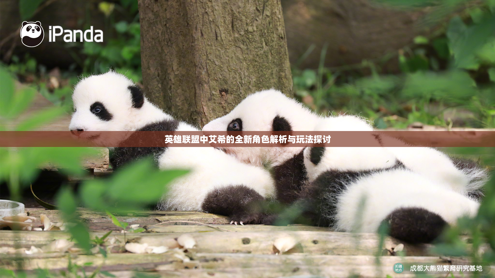 英雄联盟中艾希的全新角色解析与玩法探讨