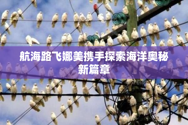 航海路飞娜美携手探索海洋奥秘新篇章