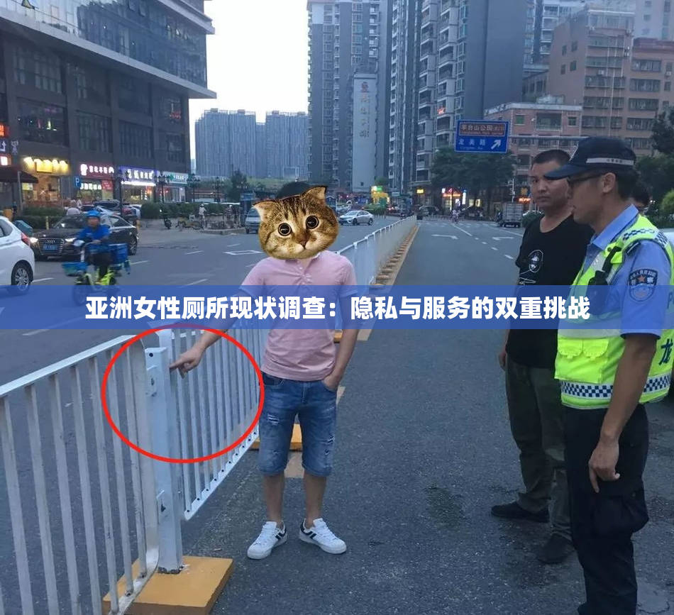 亚洲女性厕所现状调查：隐私与服务的双重挑战