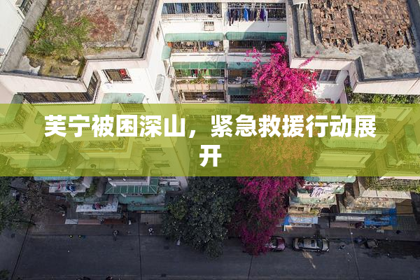 芙宁被困深山，紧急救援行动展开