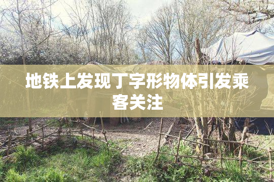 地铁上发现丁字形物体引发乘客关注
