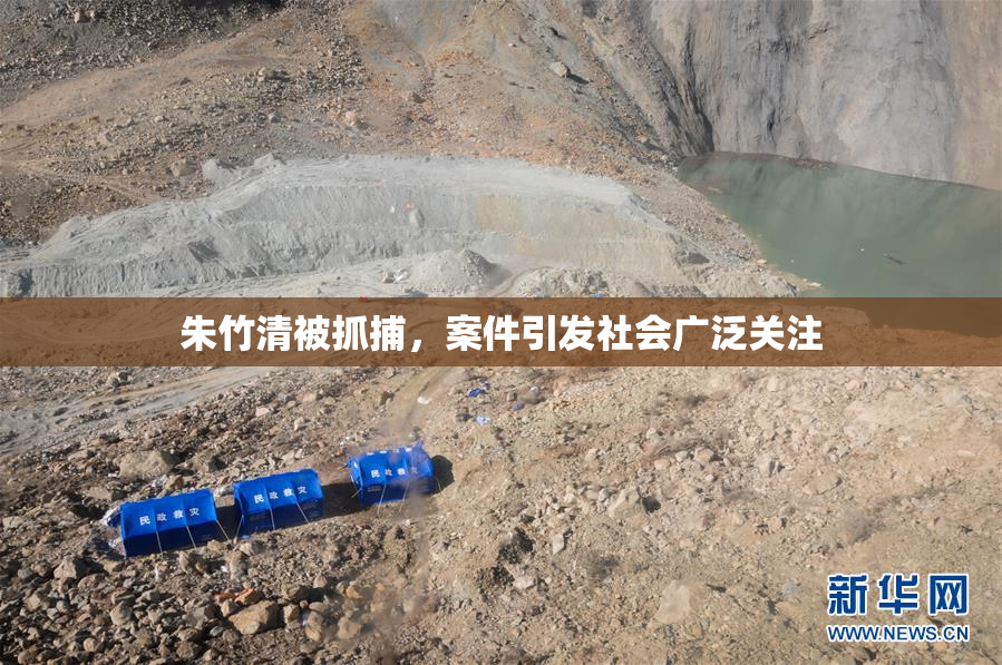 朱竹清被抓捕，案件引发社会广泛关注