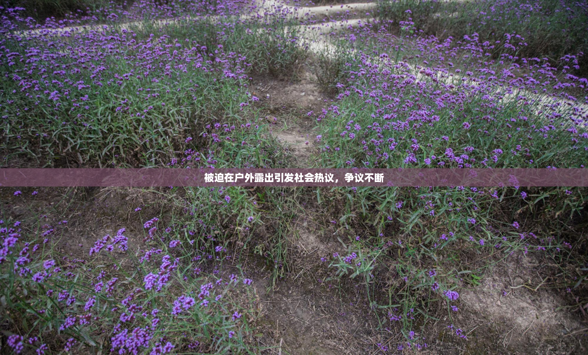 被迫在户外露出引发社会热议，争议不断