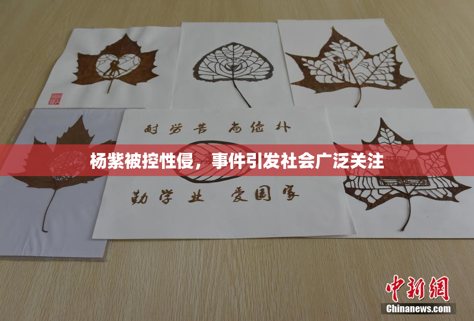 杨紫被控性侵，事件引发社会广泛关注
