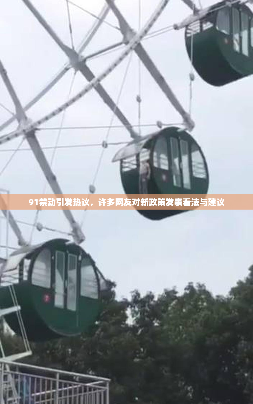 91禁动引发热议，许多网友对新政策发表看法与建议