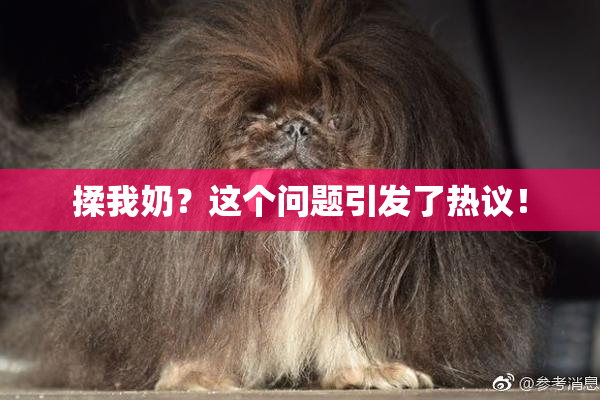 揉我奶？这个问题引发了热议！