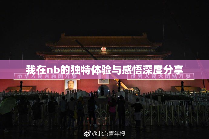 我在nb的独特体验与感悟深度分享