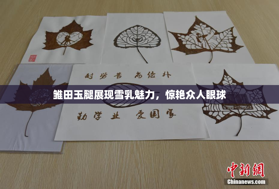 雏田玉腿展现雪乳魅力，惊艳众人眼球