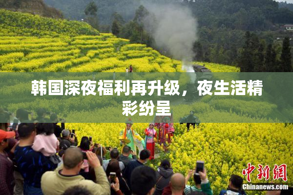 韩国深夜福利再升级，夜生活精彩纷呈
