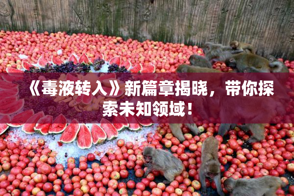 《毒液转入》新篇章揭晓，带你探索未知领域！