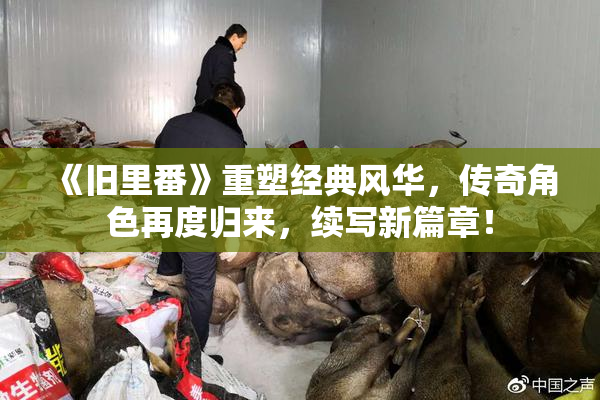 《旧里番》重塑经典风华，传奇角色再度归来，续写新篇章！